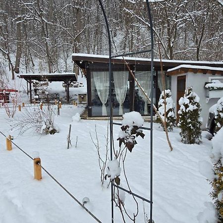 Pensiunea Lui Calin Ocnele Mari Exteriör bild